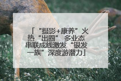 “摄影+康养”火热“出圈” 多业态串联成线激发“银发一族”深度游潜力