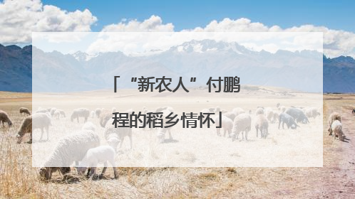 “新农人”付鹏程的稻乡情怀