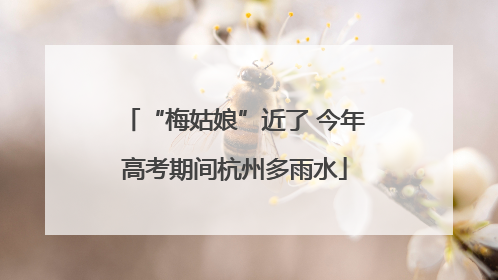 “梅姑娘”近了 今年高考期间杭州多雨水