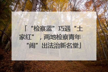 “检察蓝”巧遇“土家红”，两地检察青年“闹”出法治新名堂