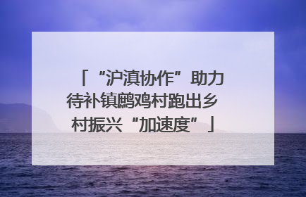 “沪滇协作”助力待补镇鹧鸡村跑出乡村振兴“加速度”