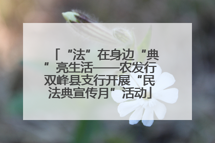 “法”在身边“典”亮生活——农发行双峰县支行开展“民法典宣传月”活动
