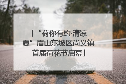 “荷你有约·清凉一夏”眉山东坡区尚义镇首届荷花节启幕