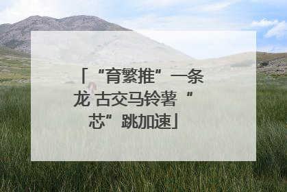 “育繁推”一条龙 古交马铃薯“芯”跳加速