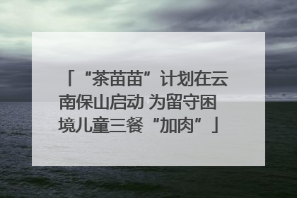 “茶苗苗”计划在云南保山启动 为留守困境儿童三餐“加肉”