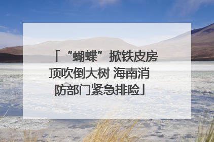 “蝴蝶”掀铁皮房顶吹倒大树 海南消防部门紧急排险