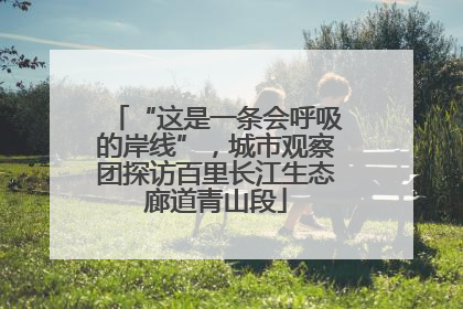 “这是一条会呼吸的岸线”，城市观察团探访百里长江生态廊道青山段