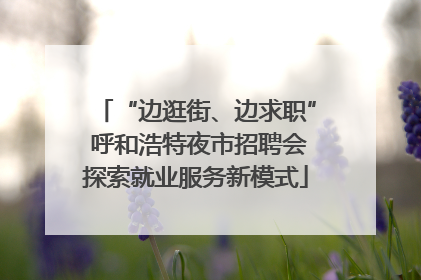“边逛街、边求职” 呼和浩特夜市招聘会探索就业服务新模式