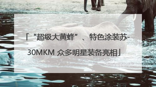 “超级大黄蜂”、特色涂装苏-30MKM 众多明星装备亮相