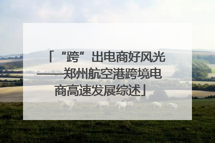 “跨”出电商好风光——郑州航空港跨境电商高速发展综述