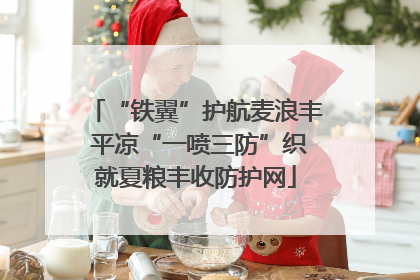 “铁翼”护航麦浪丰 平凉“一喷三防”织就夏粮丰收防护网