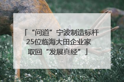 “问道”宁波制造标杆 25位临海大田企业家取回“发展真经”