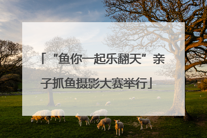 “鱼你一起乐翻天”亲子抓鱼摄影大赛举行