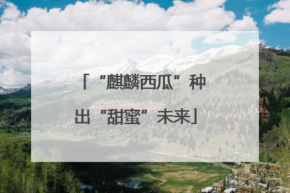 “麒麟西瓜”种出“甜蜜”未来