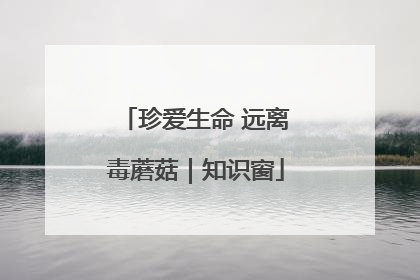 珍爱生命 远离毒蘑菇｜知识窗