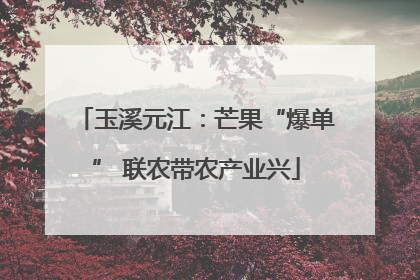 玉溪元江：芒果“爆单” 联农带农产业兴