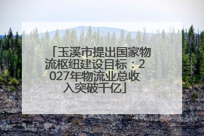 玉溪市提出国家物流枢纽建设目标：2027年物流业总收入突破千亿