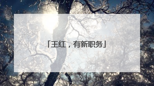 王红，有新职务
