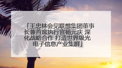 王忠林会见联想集团董事长兼首席执行官杨元庆 深化战略合作 打造世界级光电子信息产业集群