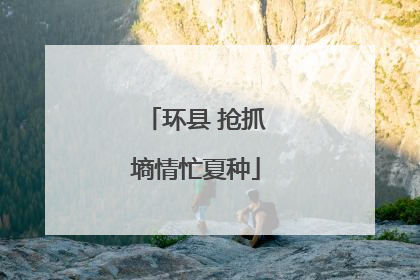环县 抢抓墒情忙夏种