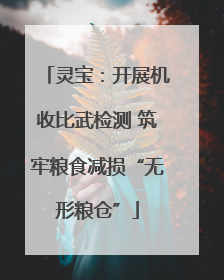 灵宝：开展机收比武检测 筑牢粮食减损“无形粮仓”