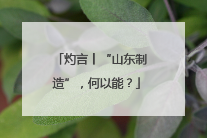灼言丨“山东制造”，何以能？