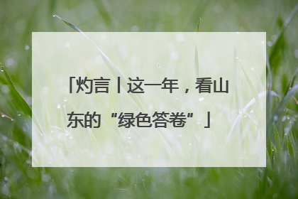 灼言丨这一年，看山东的“绿色答卷”