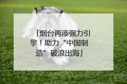 烟台再添强力引擎！助力“中国制造”破浪出海