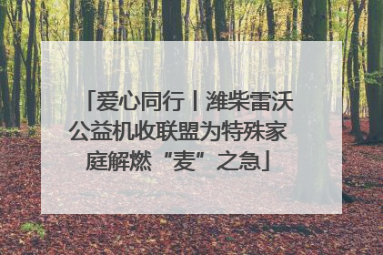 爱心同行丨潍柴雷沃公益机收联盟为特殊家庭解燃“麦”之急