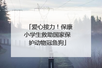 爱心接力！保康小学生救助国家保护动物冠鱼狗