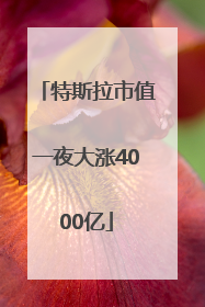 特斯拉市值一夜大涨4000亿