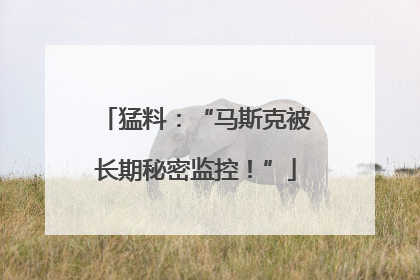 猛料：“马斯克被长期秘密监控！”
