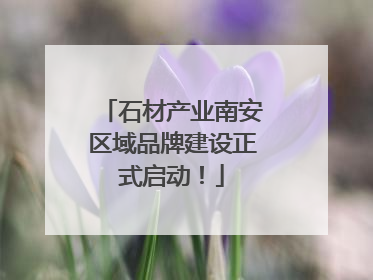 石材产业南安区域品牌建设正式启动！