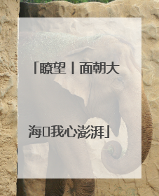 瞭望丨面朝大海 我心澎湃