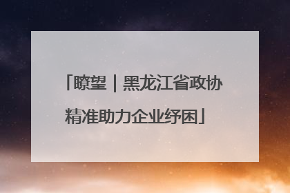 瞭望｜黑龙江省政协精准助力企业纾困