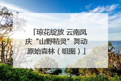 琼花绽放 云南凤庆“山野精灵”舞动原始森林（组图）