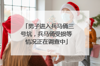 男子进入兵马俑三号坑，兵马俑受损等情况正在调查中
