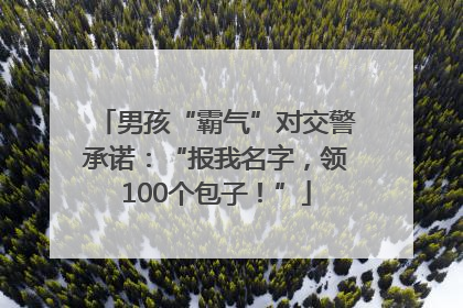 男孩“霸气”对交警承诺：“报我名字，领100个包子！”