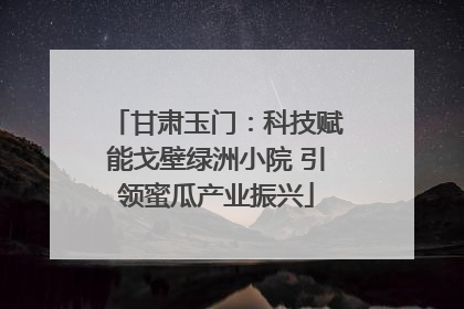 甘肃玉门：科技赋能戈壁绿洲小院 引领蜜瓜产业振兴