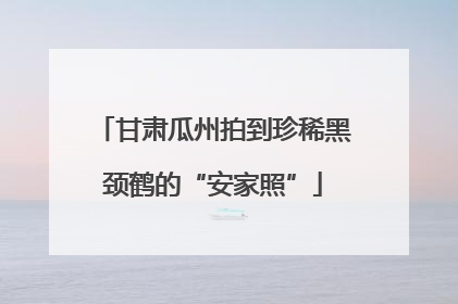 甘肃瓜州拍到珍稀黑颈鹤的“安家照”