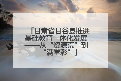 甘肃省甘谷县推进基础教育一体化发展——从“资源荒”到“满堂彩”