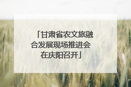 甘肃省农文旅融合发展现场推进会在庆阳召开