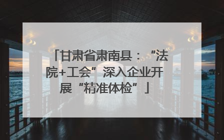 甘肃省肃南县：“法院+工会”深入企业开展“精准体检”
