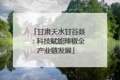 甘肃天水甘谷县：科技赋能辣椒全产业链发展