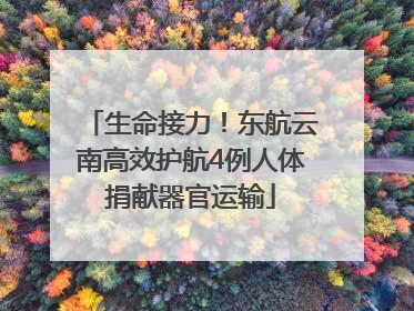 生命接力！东航云南高效护航4例人体捐献器官运输
