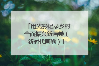 用光影记录乡村全面振兴新画卷（新时代画卷）
