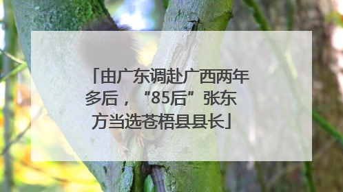 由广东调赴广西两年多后，“85后”张东方当选苍梧县县长