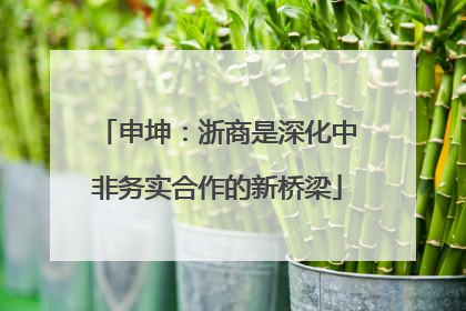 申坤：浙商是深化中非务实合作的新桥梁