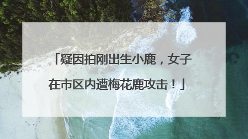 疑因拍刚出生小鹿，女子在市区内遭梅花鹿攻击！