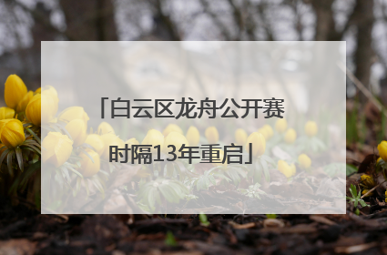 白云区龙舟公开赛时隔13年重启